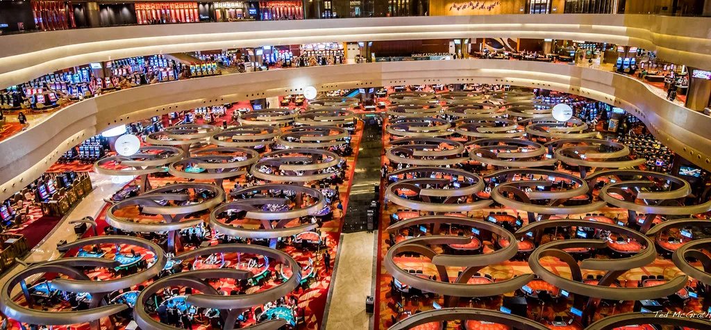 DarylTanky tweet media