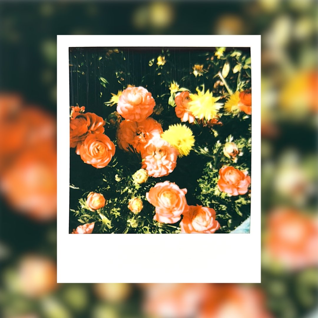 みぞれのオーボエ tweet media