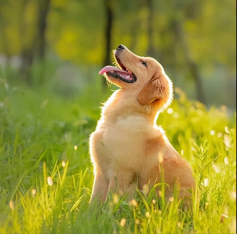 Rod Warner tweet media