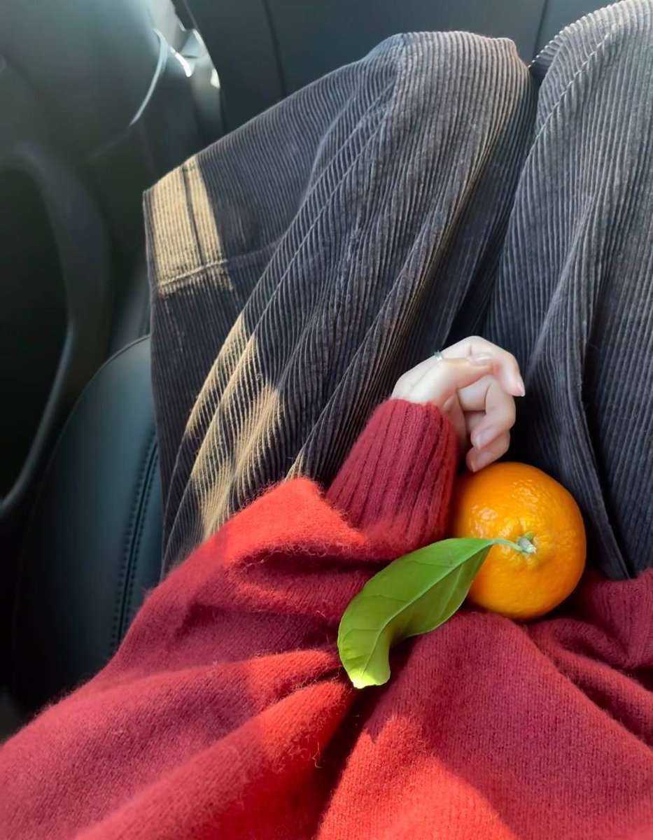 小熊崽和他的妈咪 tweet media