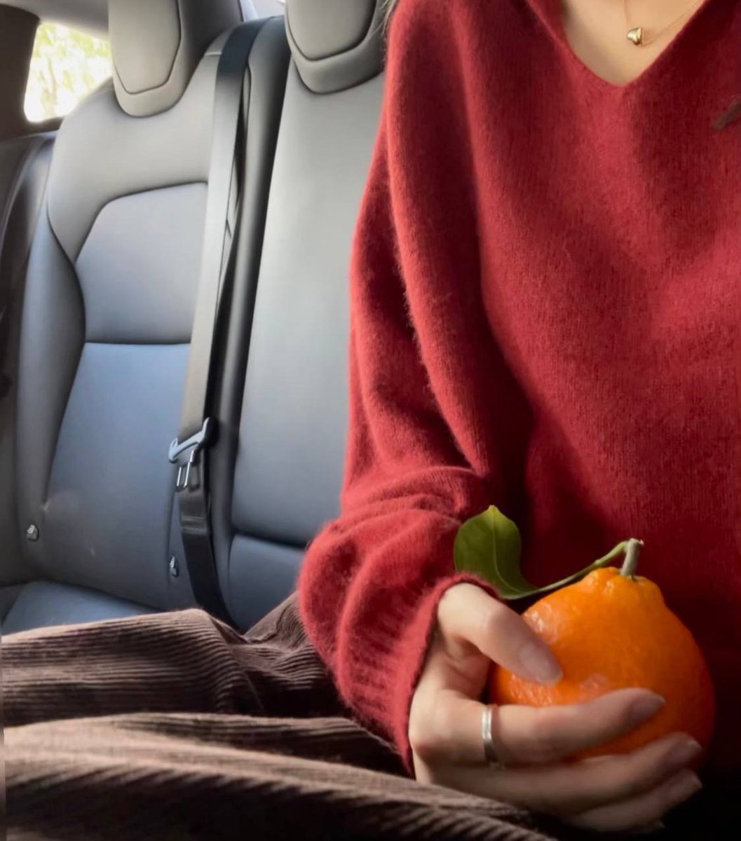 小熊崽和他的妈咪 tweet media