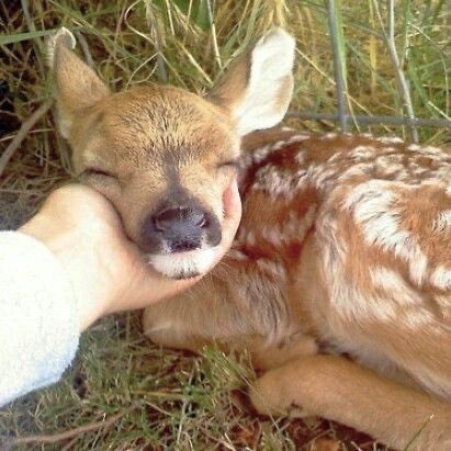 ˚ʚ♡ɞ˚ tweet media