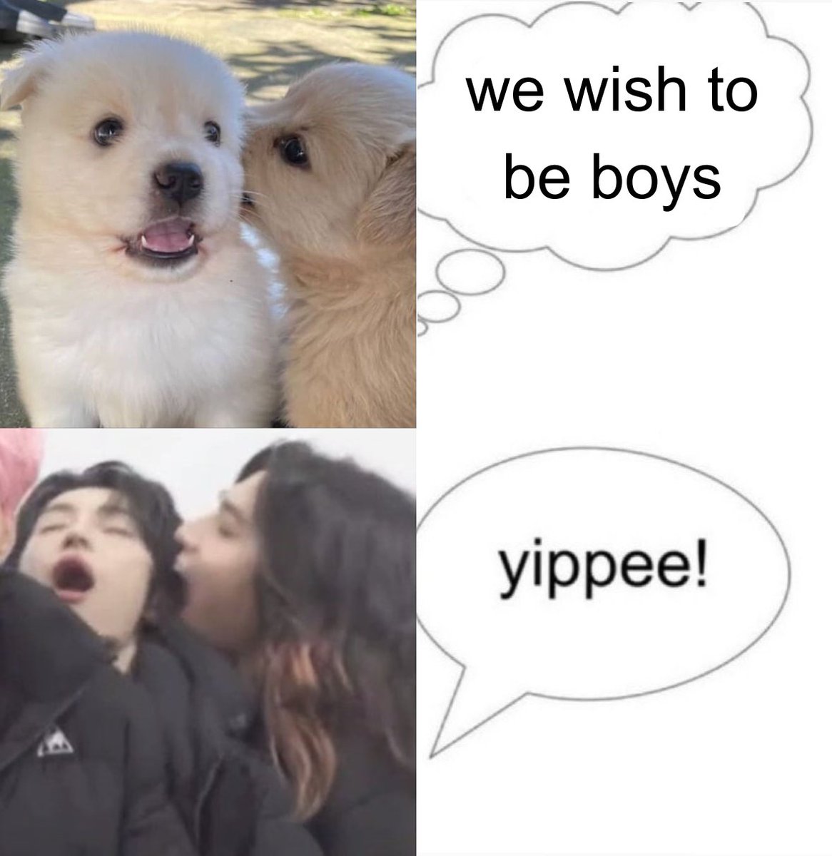 🩷🩵 tweet media