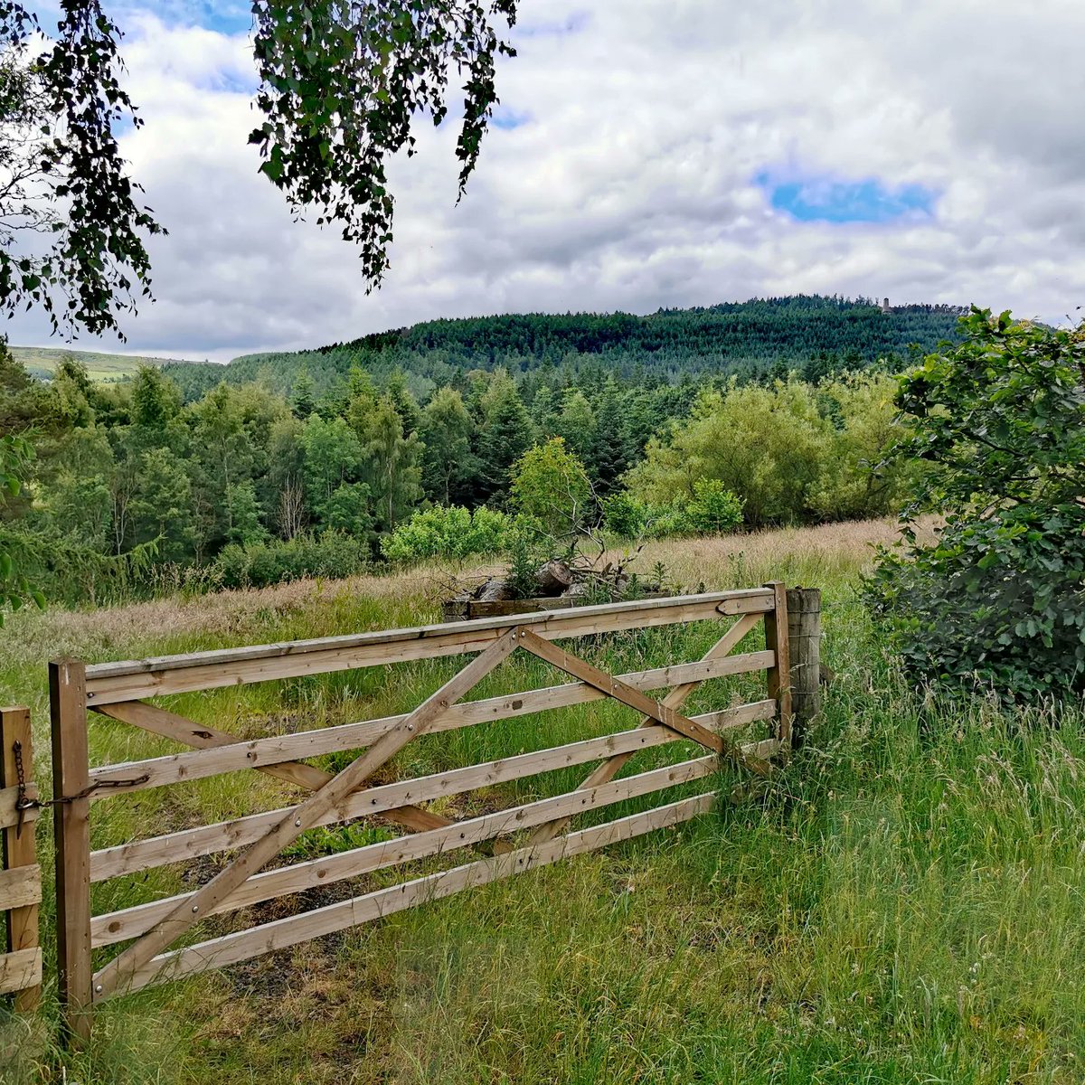 SnappyCapture's tweet photo. Sometimes all you need is a gate… and a view worth stopping for 🌿👀
#GreatView #Countryside https://t.co/UooK3VMQOz