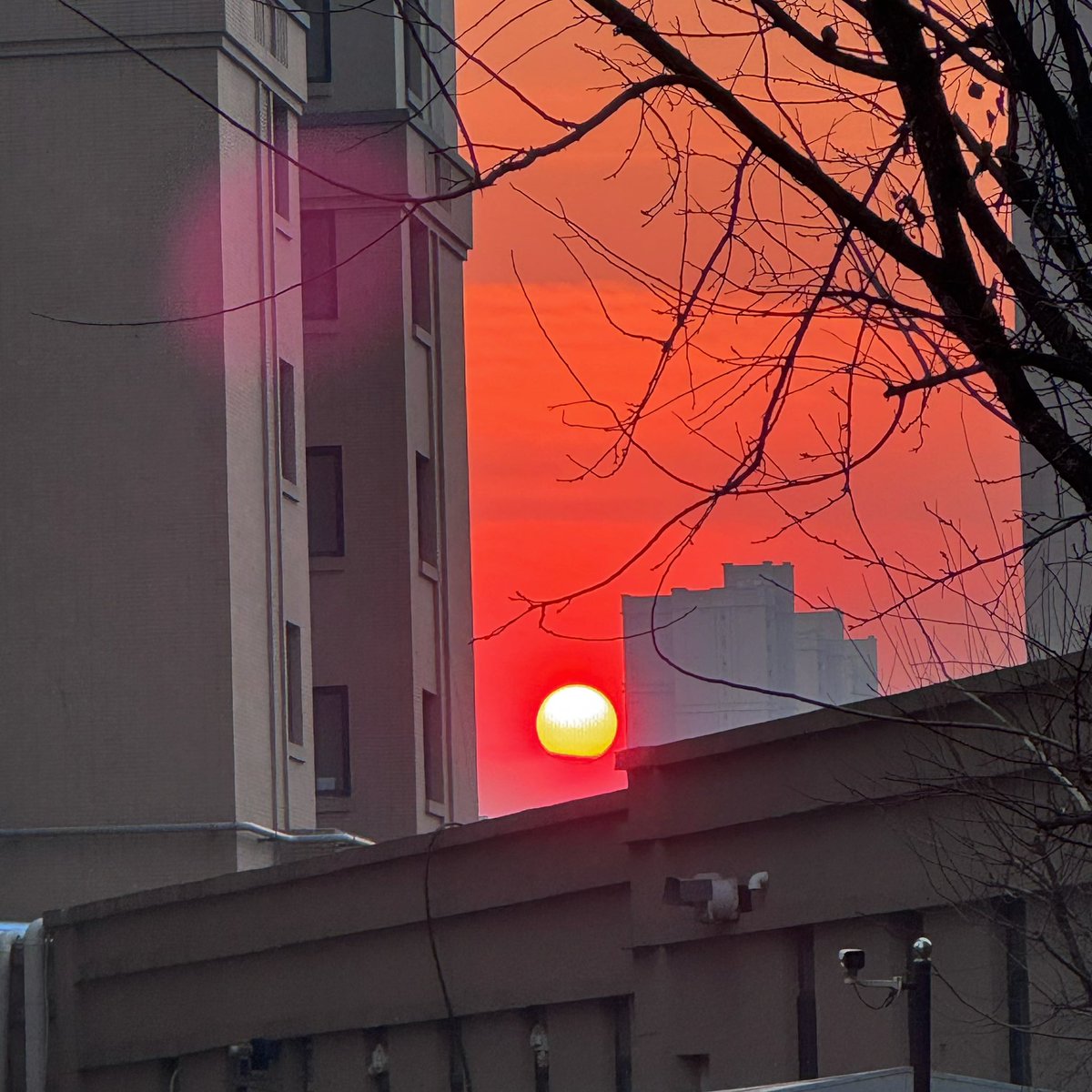 flyingfrog926's tweet image. 今天的落日余晖，很美，送给你们。一个是完整的，一个被云彩遮住了点边边，你喜欢哪个呀～ #互关互赞 #View