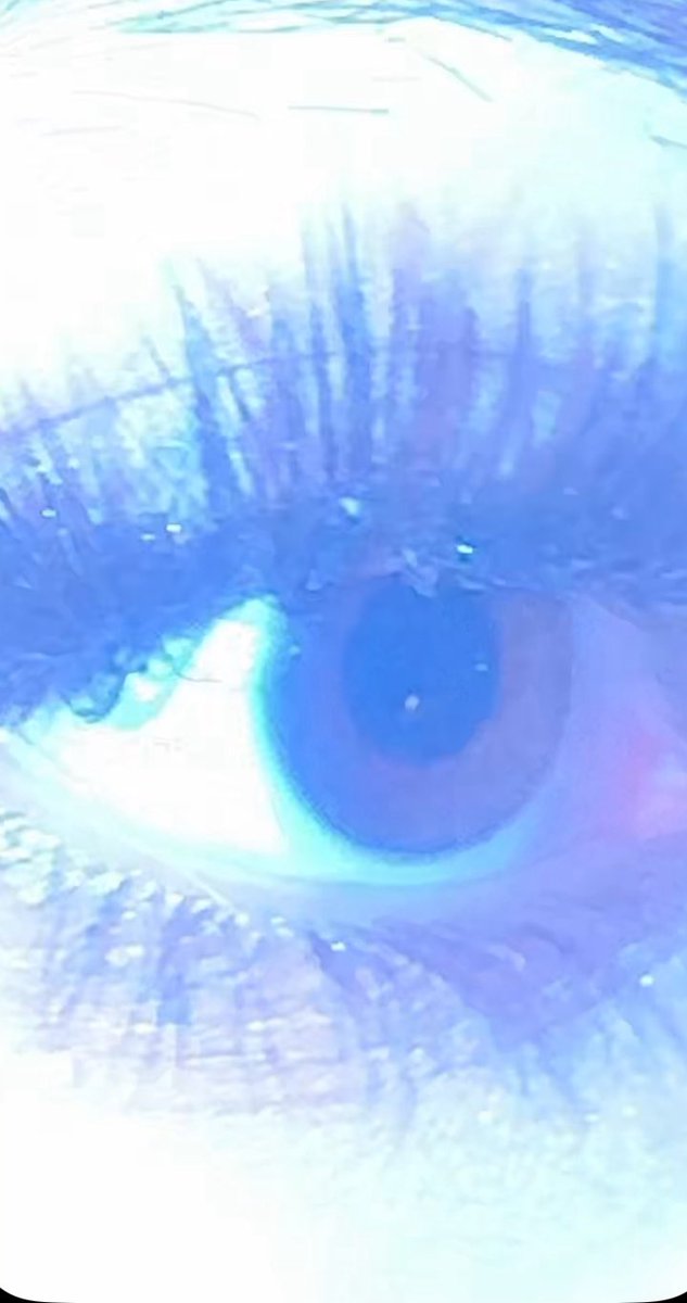 consider my wrists slit tweet media