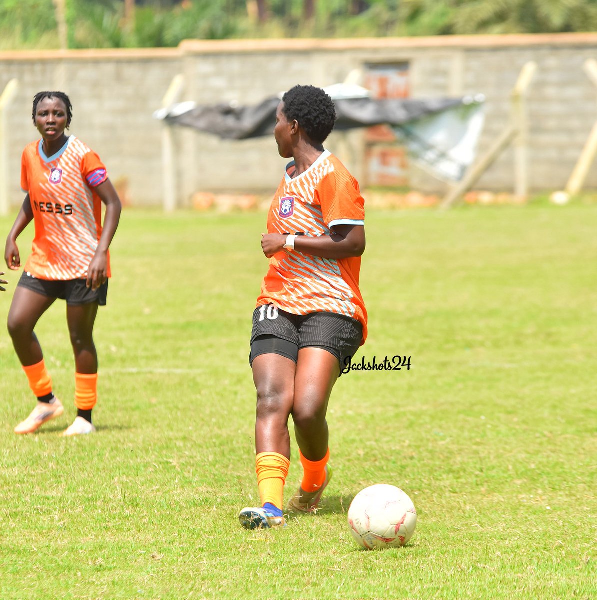 #Jackshots24 tweet media