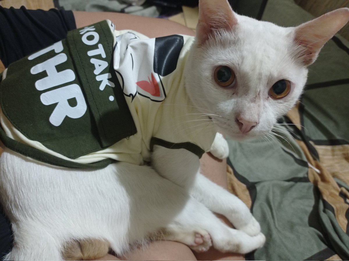 gabbie :p tweet media