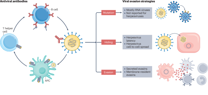 Nature Reviews Microbiology tweet media