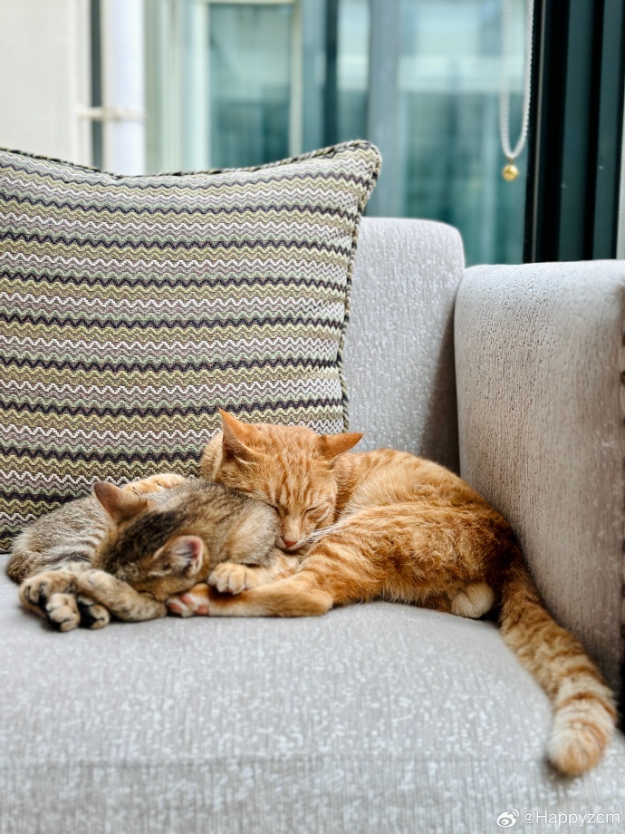 Henry Rivera tweet media