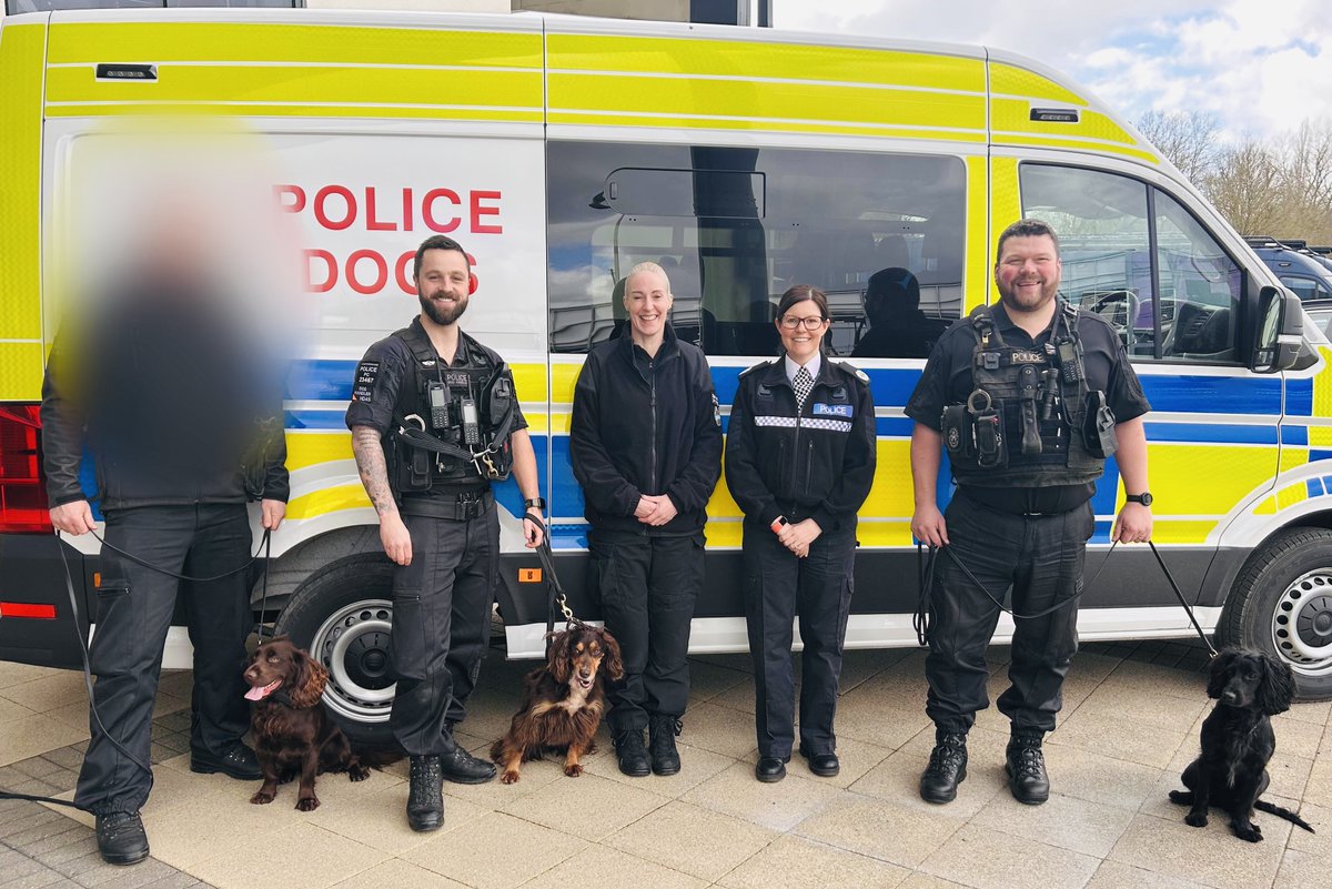 Staffs Dogs & ARV tweet media