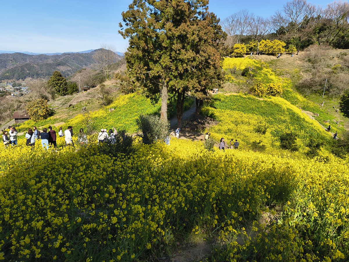 Dan(SARA) tweet media