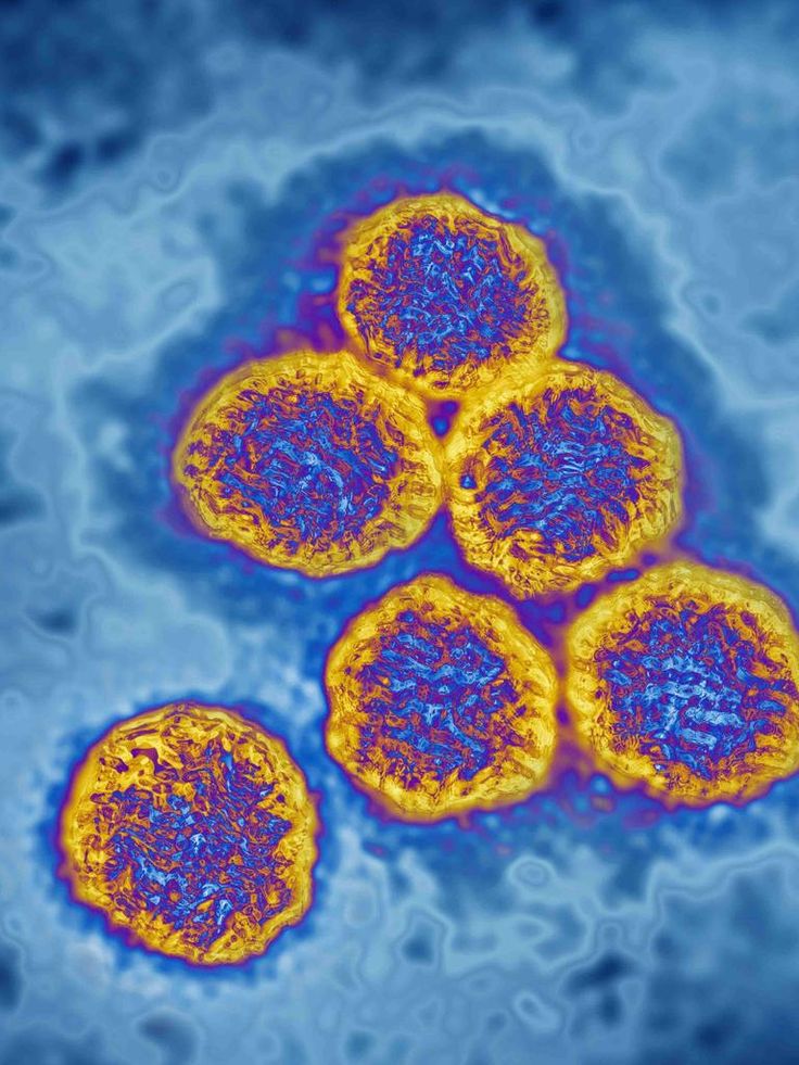 𝗚𝗲𝗺𝘀 tweet media