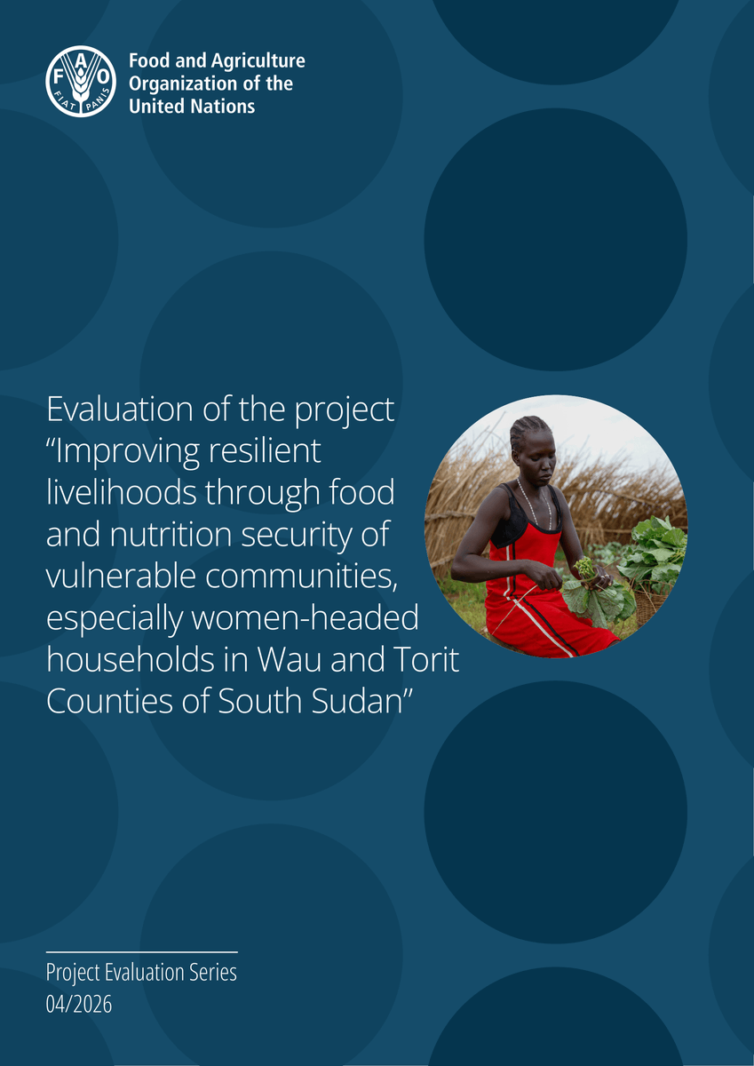 FAOSouthSudan's tweet photo. Community-driven, gender-responsive programming strengthened #FoodSecurity &amp; #Livelihoods for households in Wau &amp; Torit 🇸🇸

With support from @Sida, nutrition-sensitive agriculture, women’s empowerment &amp; climate-smart practices made it possible 🌱

Report: https://t.co/VS20YCgVZ7 https://t.co/GHy2LQd1BW