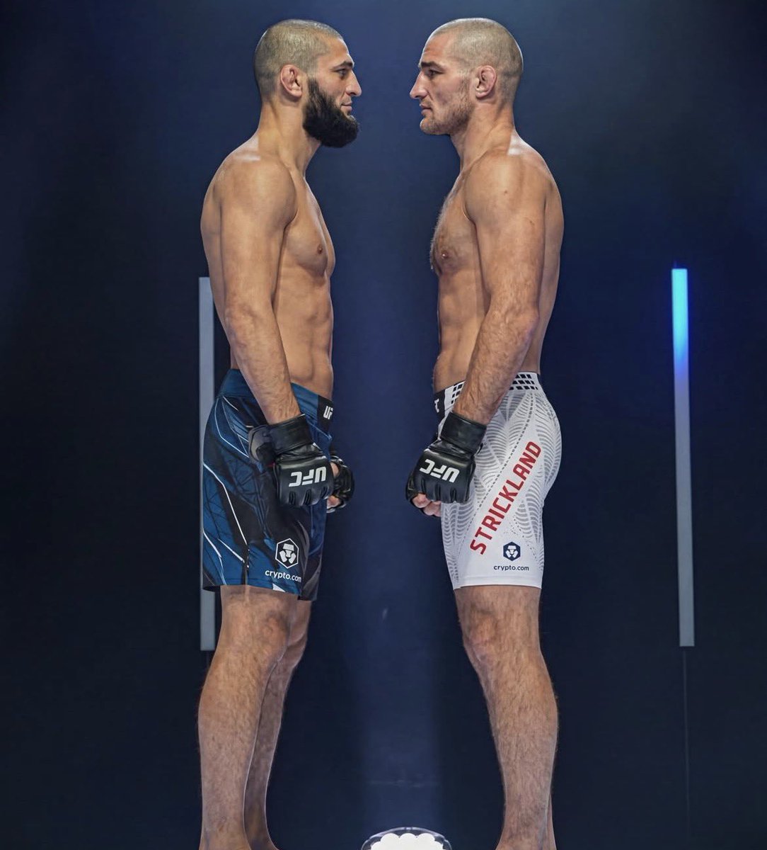 Dovy🔌 tweet media