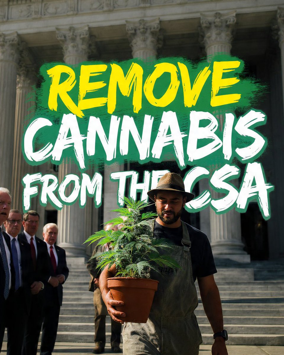It's time we bring common sense to the table. Our laws should reflect reality, not outdated ideas. We've got folks doing honest work, growing a natural product, and they deserve fair rules. It's about opening up real opportunities for small businesses and workers, not holding