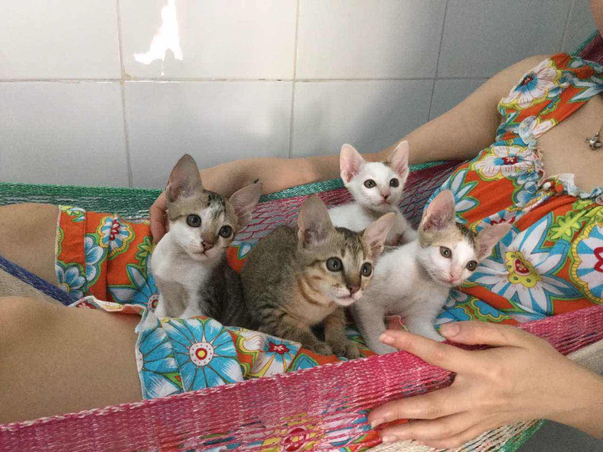 Mommummim tweet media