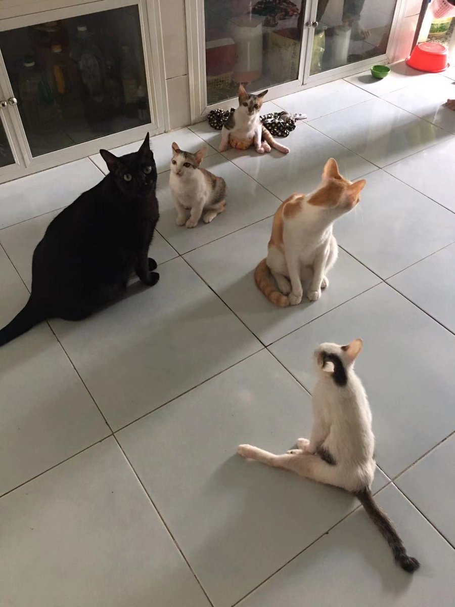 Mommummim tweet media