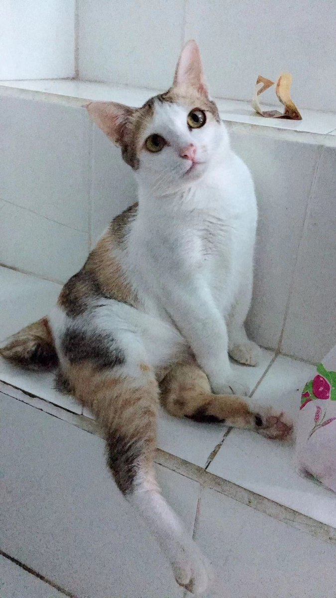 Mommummim tweet media