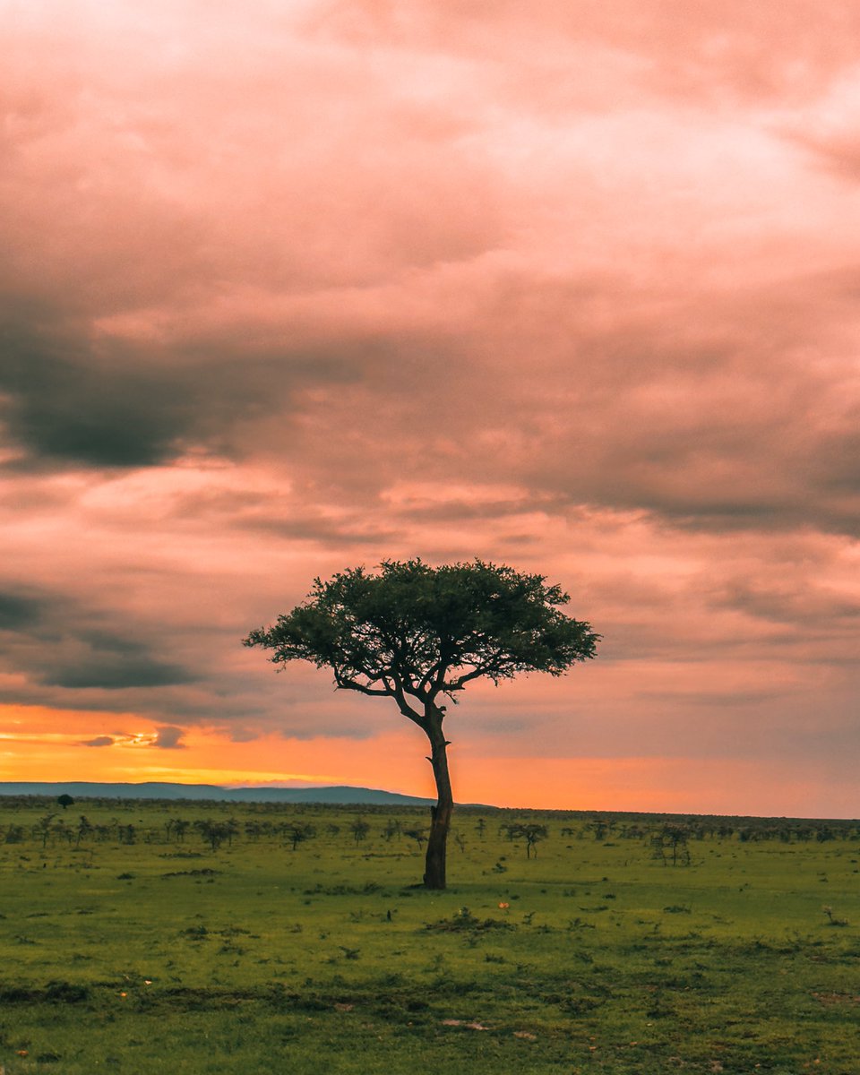 Onchomba Makori tweet media