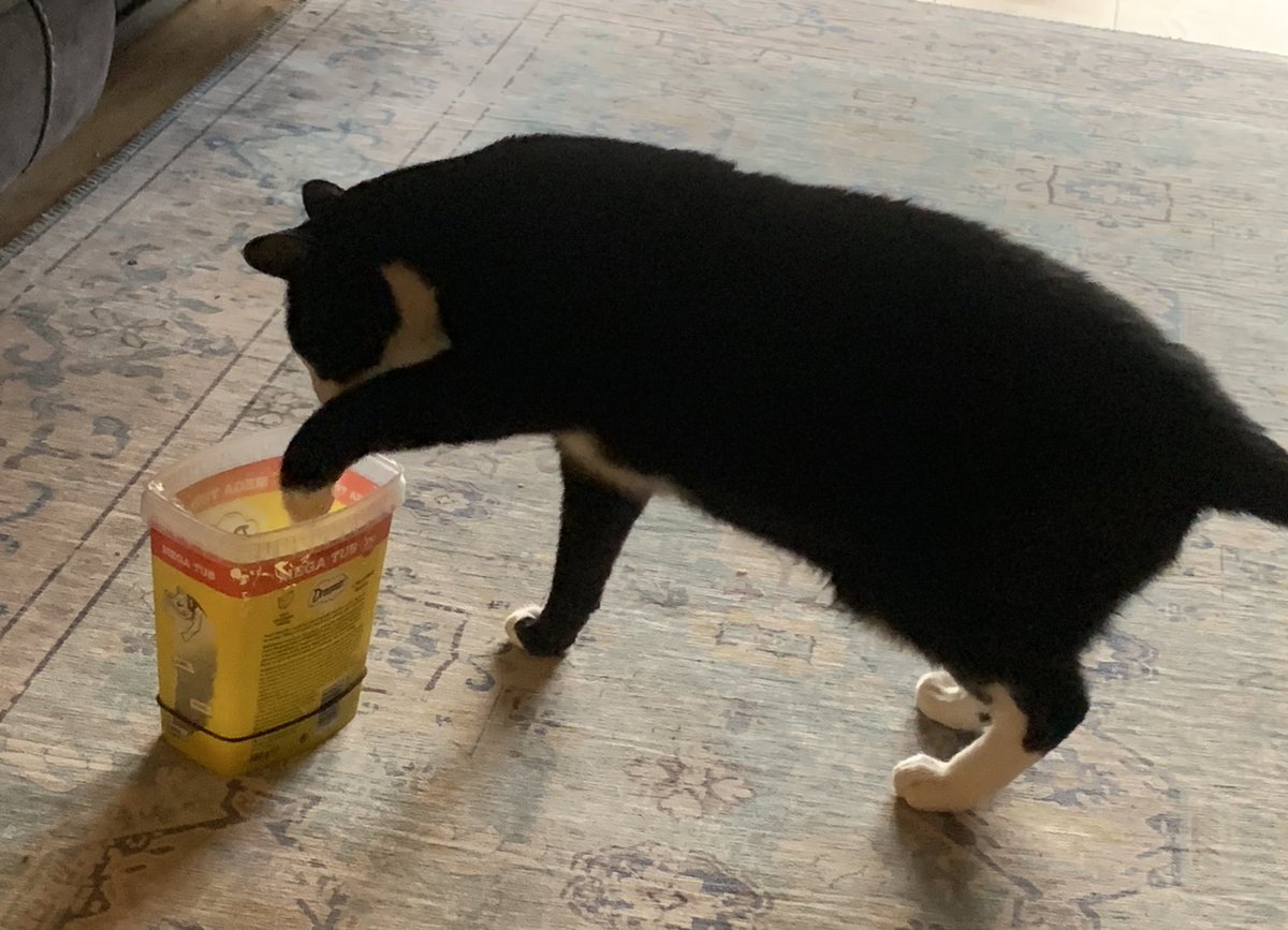 InsertNameHere tweet media