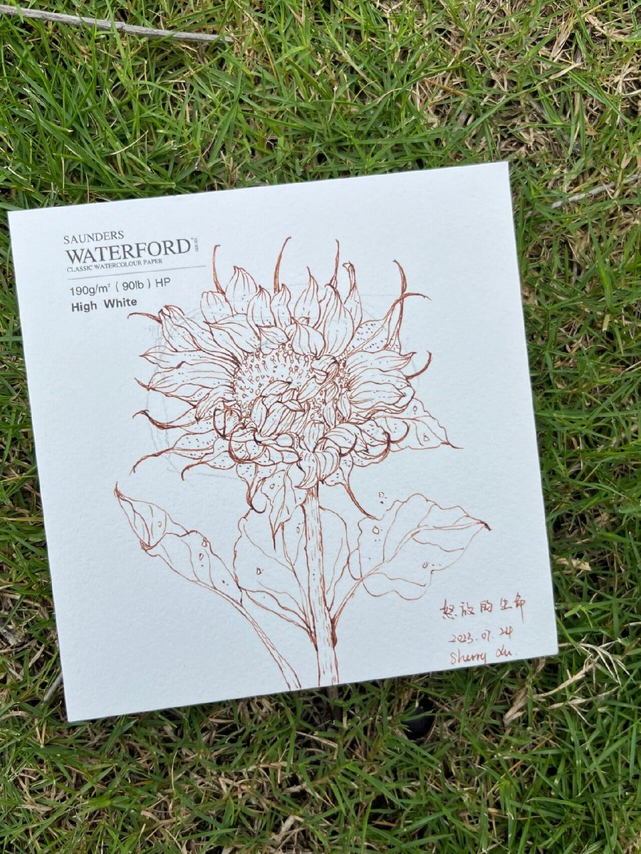 armia kirolos tweet media