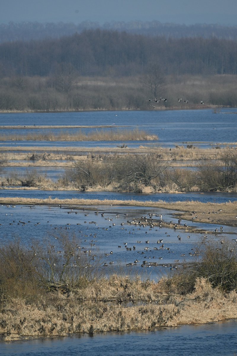 Oliwier Myka tweet media