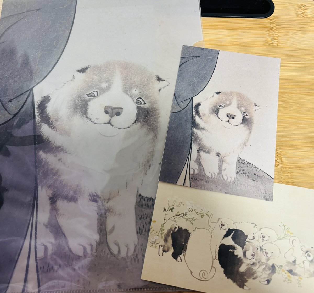 群馬帝国に帰還しました！ 長沢蘆雪展、並んだけどもかわいい犬達を生