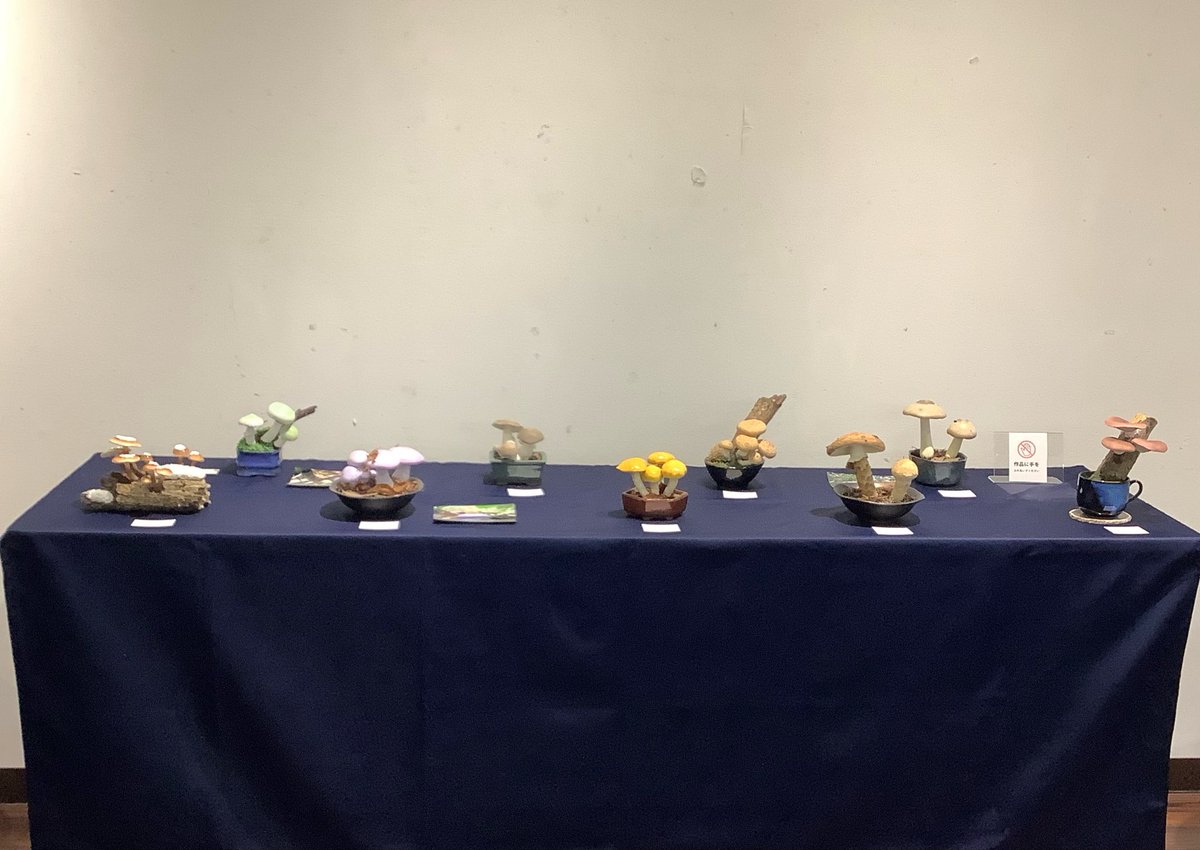 「粘土で見るきのこの魅力展」1日目終了しました😊
たくさんの方にお越しいただきありがとうございます‼️
明日も開催していますのでよろしくお願いします🍄🍄🍄

3/15 9:00〜16:00
ギャラリー永谷(吉祥寺駅北口、ヨドバシカメラとなり)

#粘土で見るきのこの魅力展
#きのこ盆栽
