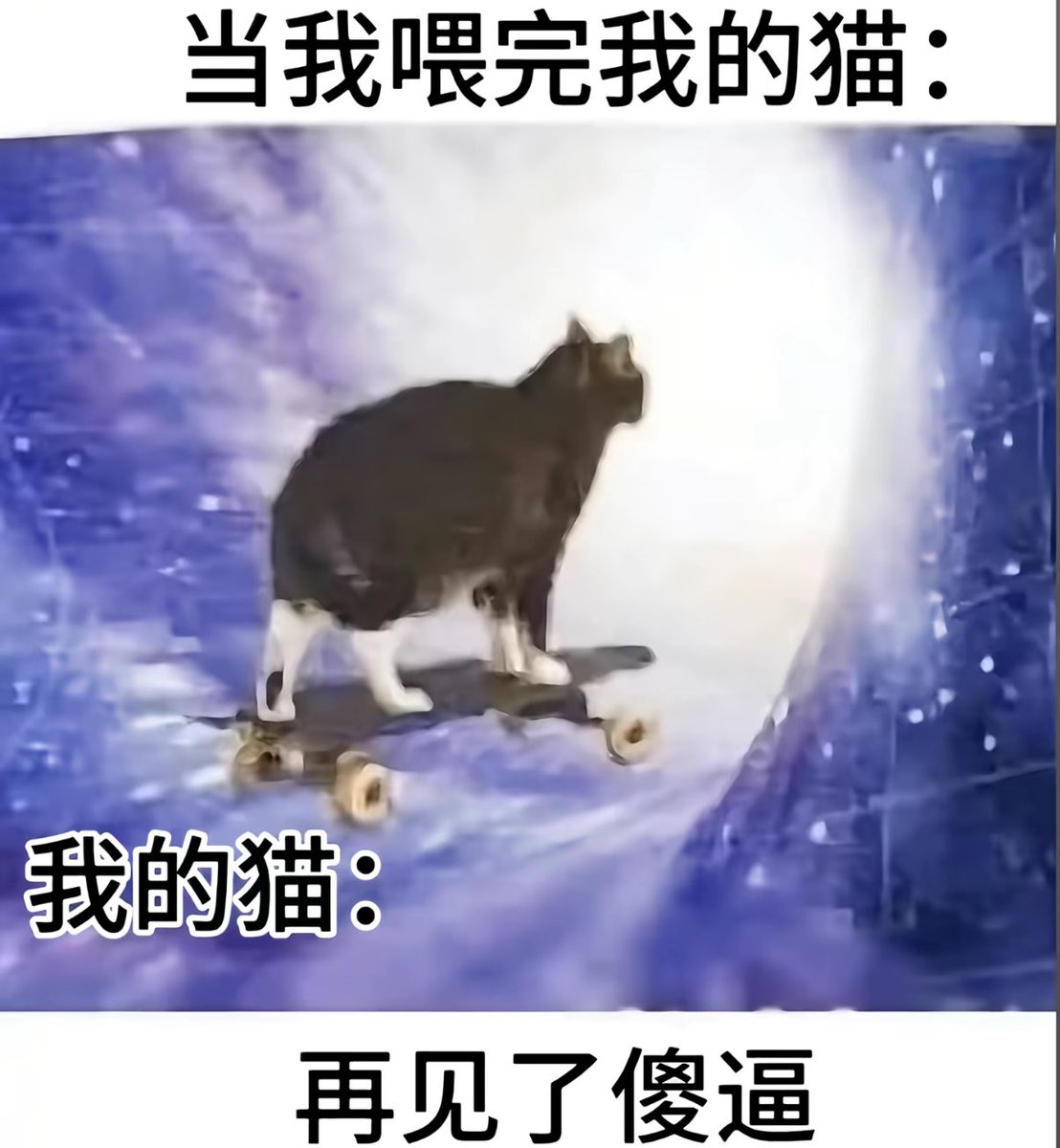 仓鼠糍粑 tweet media