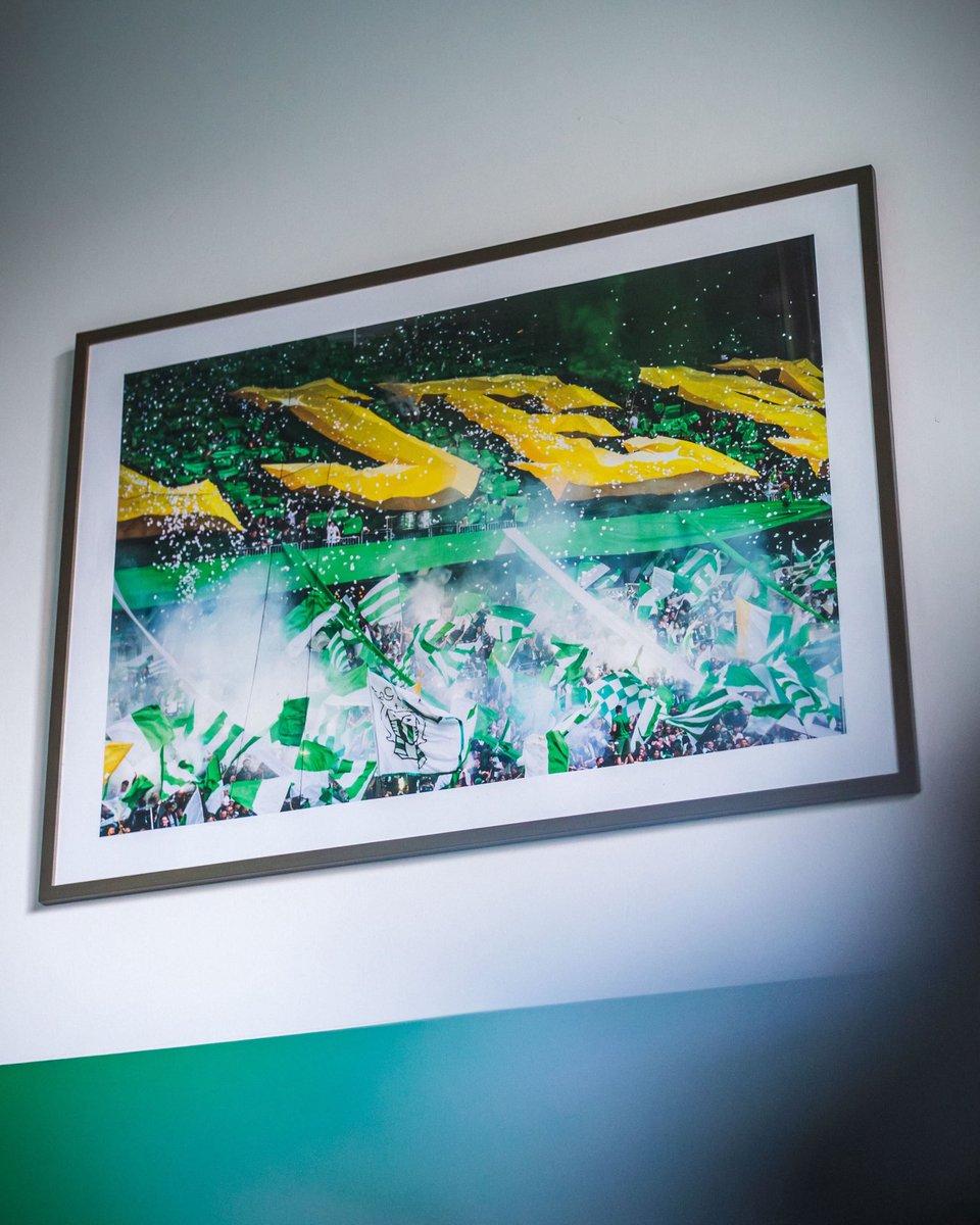 Bajen Fans tweet media