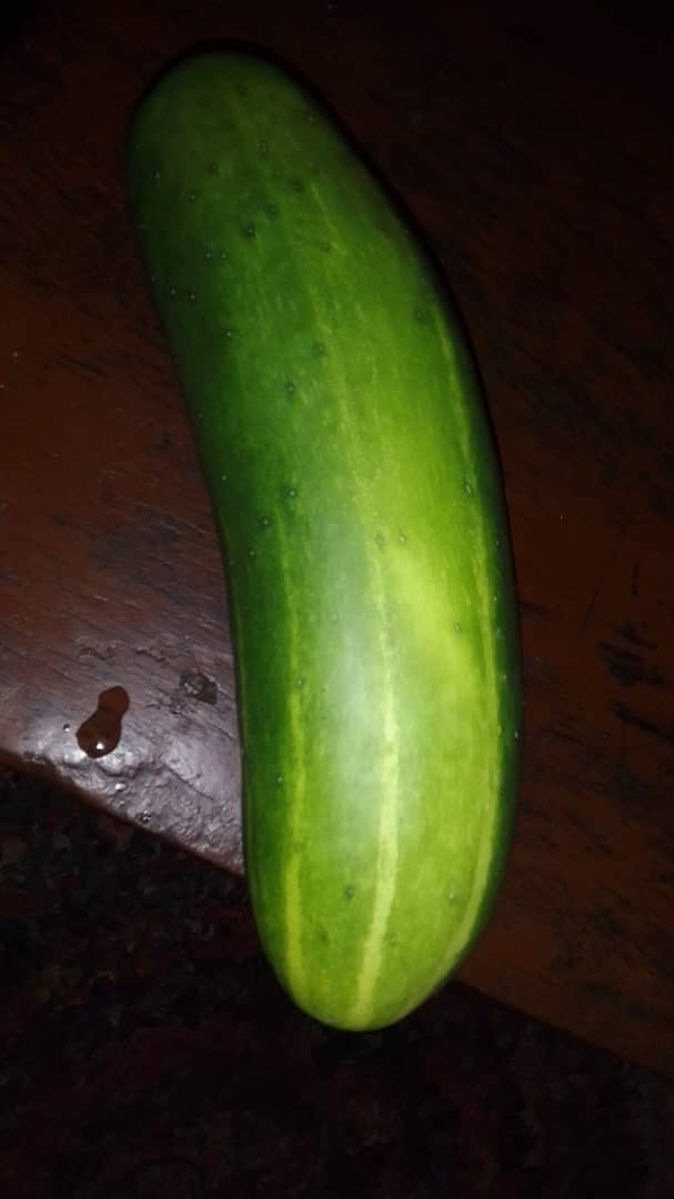 MuPfaNhA WeKuMbArE⛓️𝕏¹⁰🇿🇼 tweet media