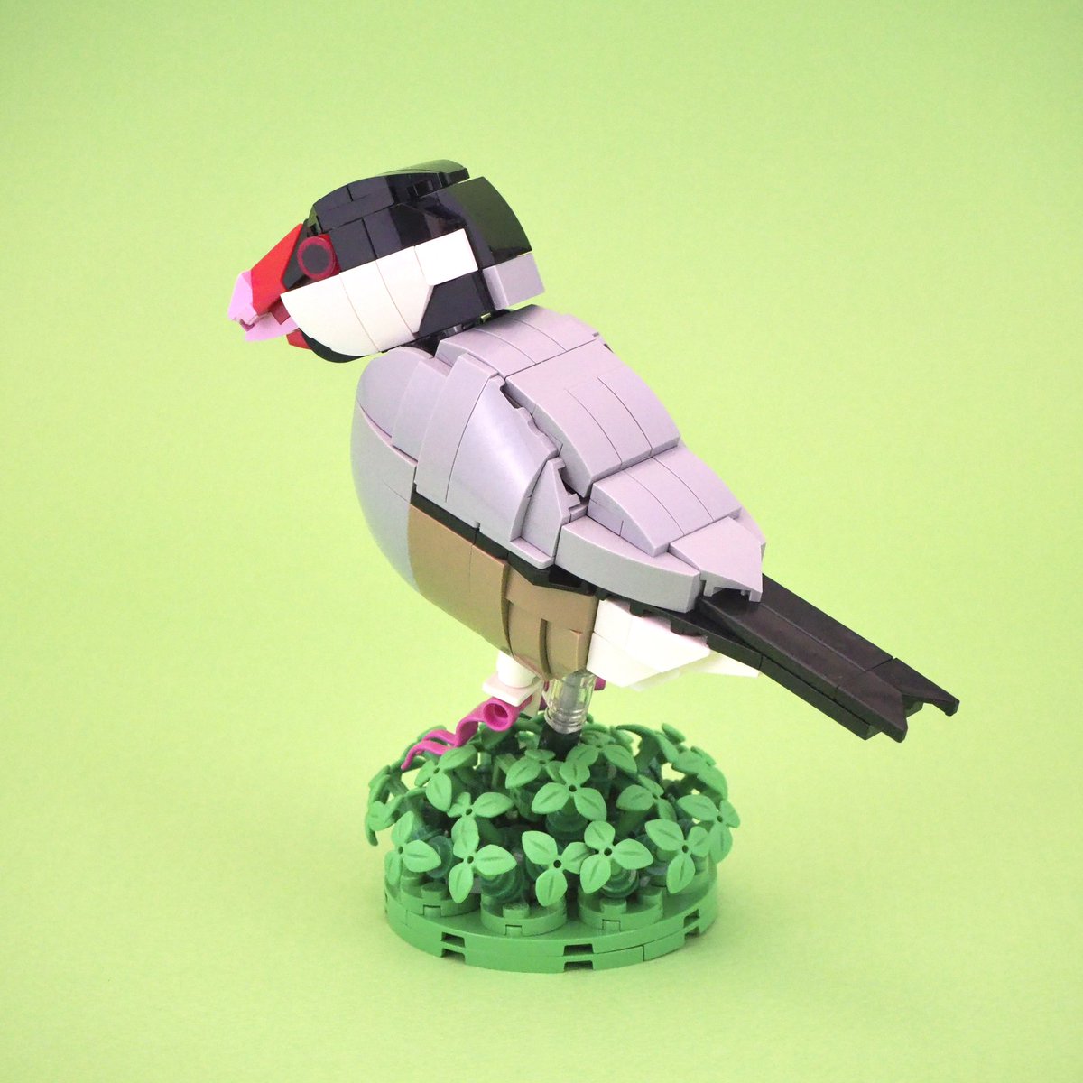 フーミン_Fumiaki Tateoka tweet media