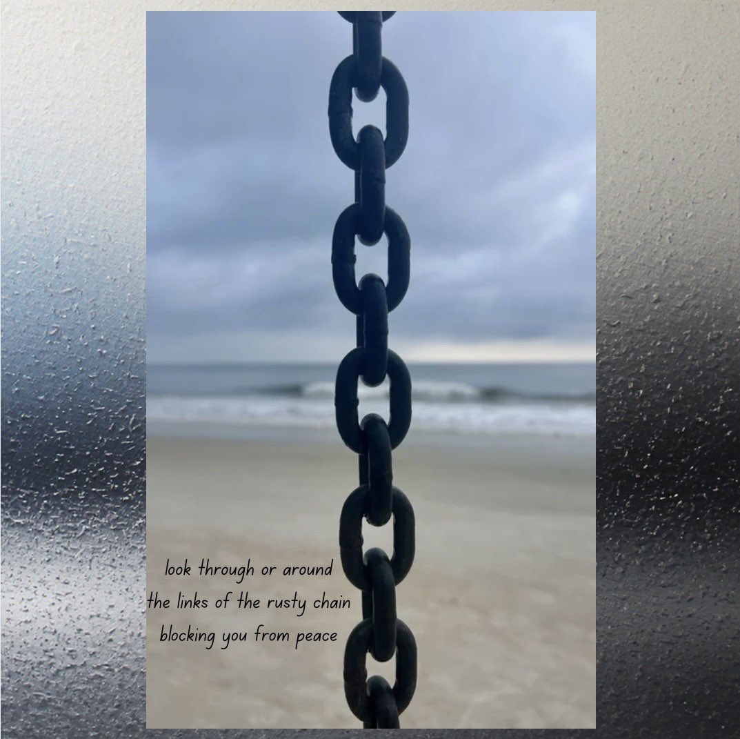 Christopher Knox tweet media