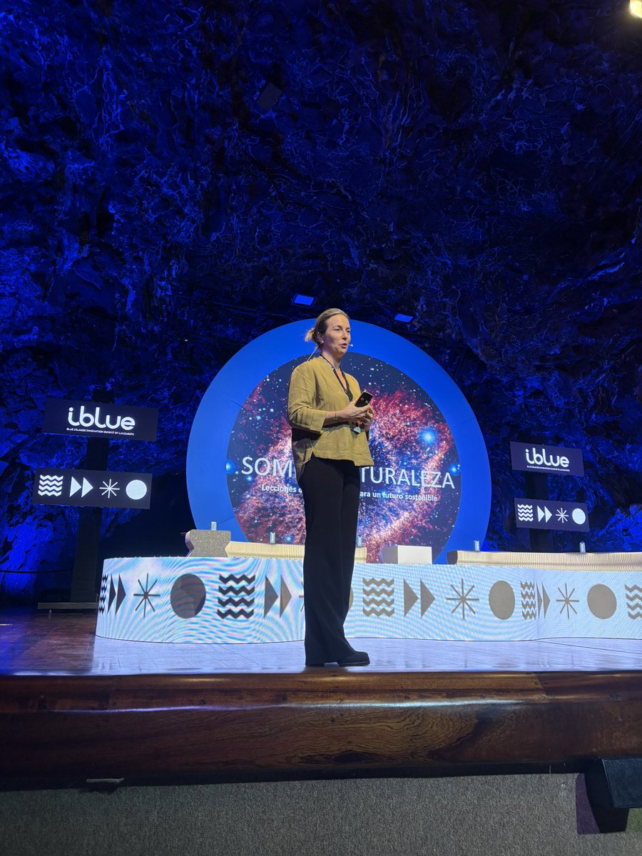 manuel bellido tweet media