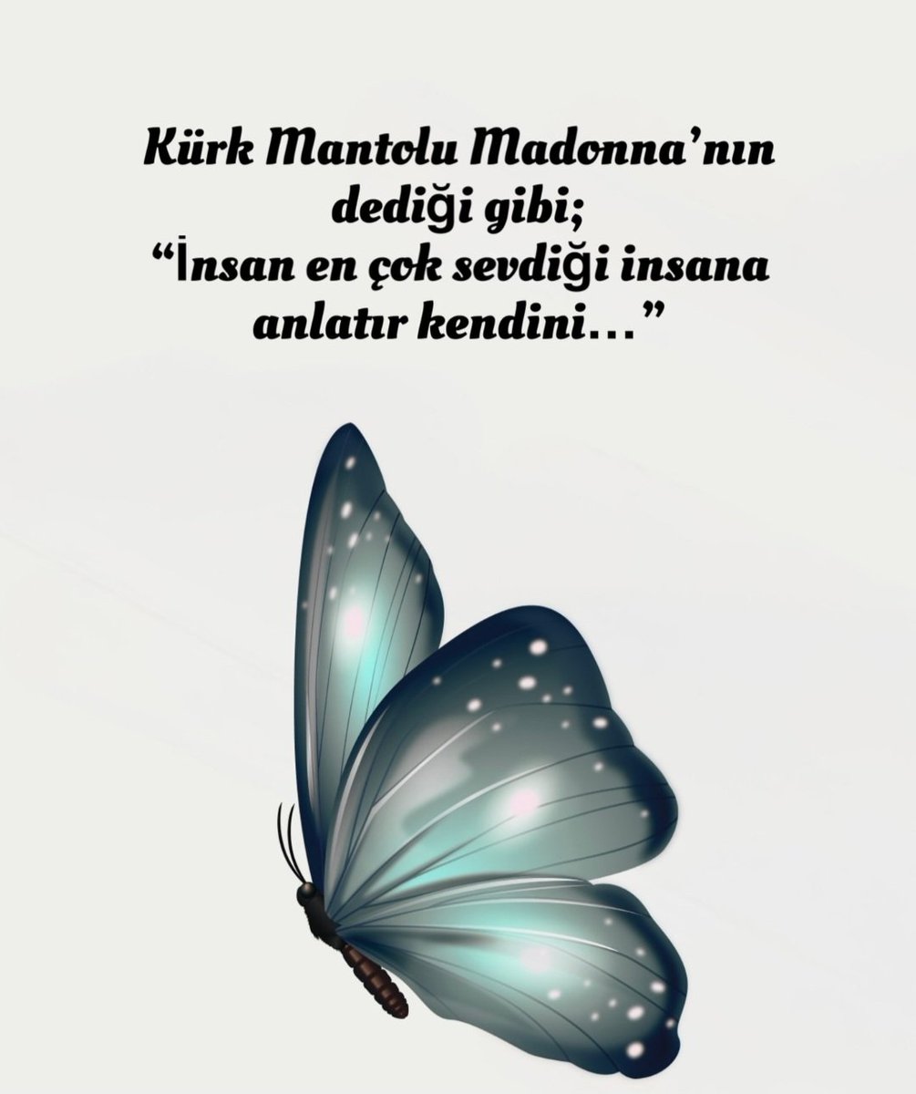 MeRwE🧚‍♀️ tweet media