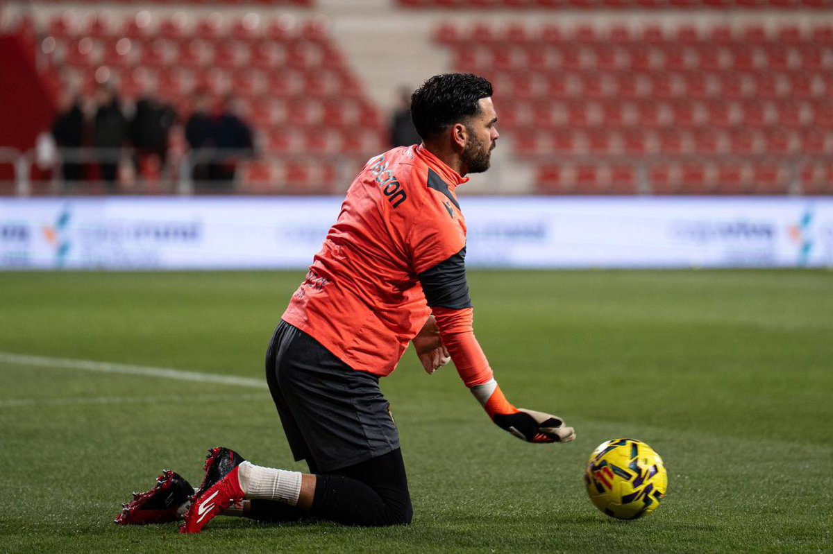 David Gil Mohedano tweet media