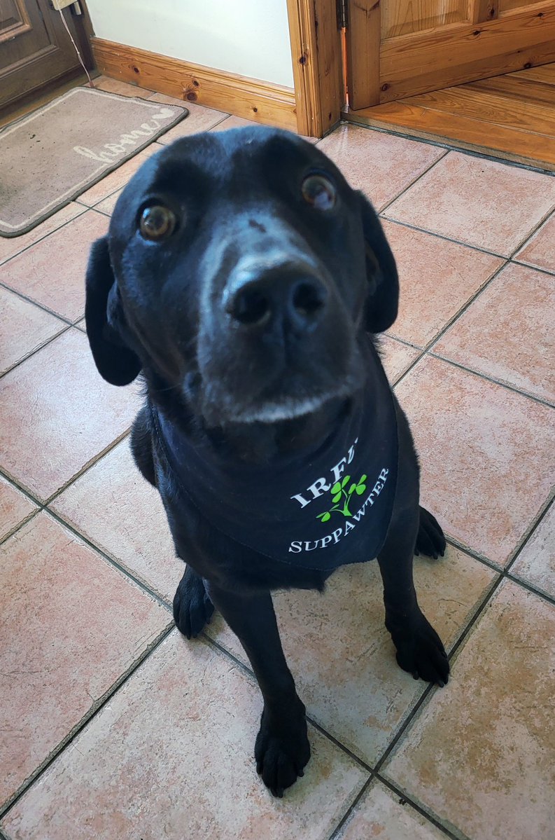 Cecilia Daly tweet media