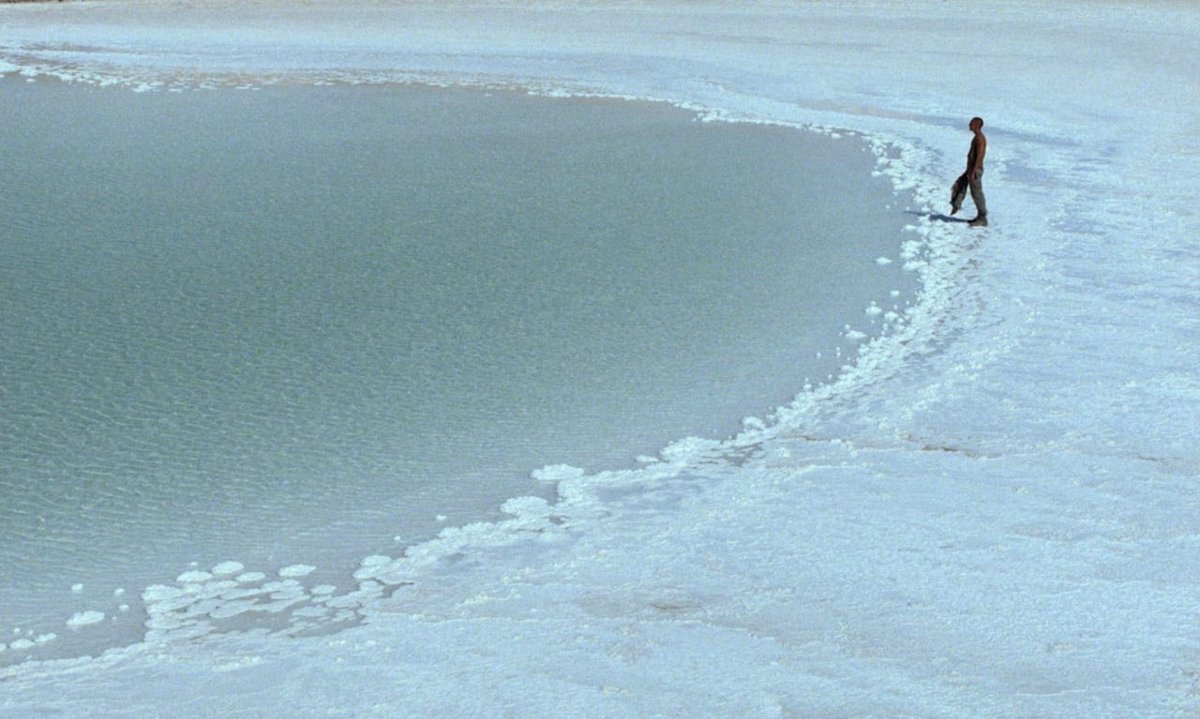 a random pynchon character tweet media