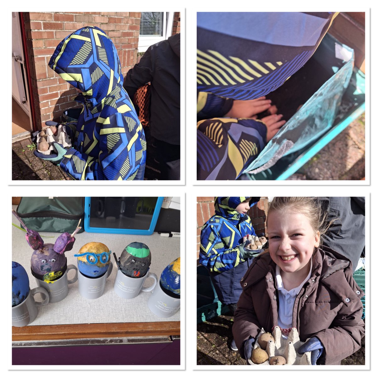 Newton primary tweet media