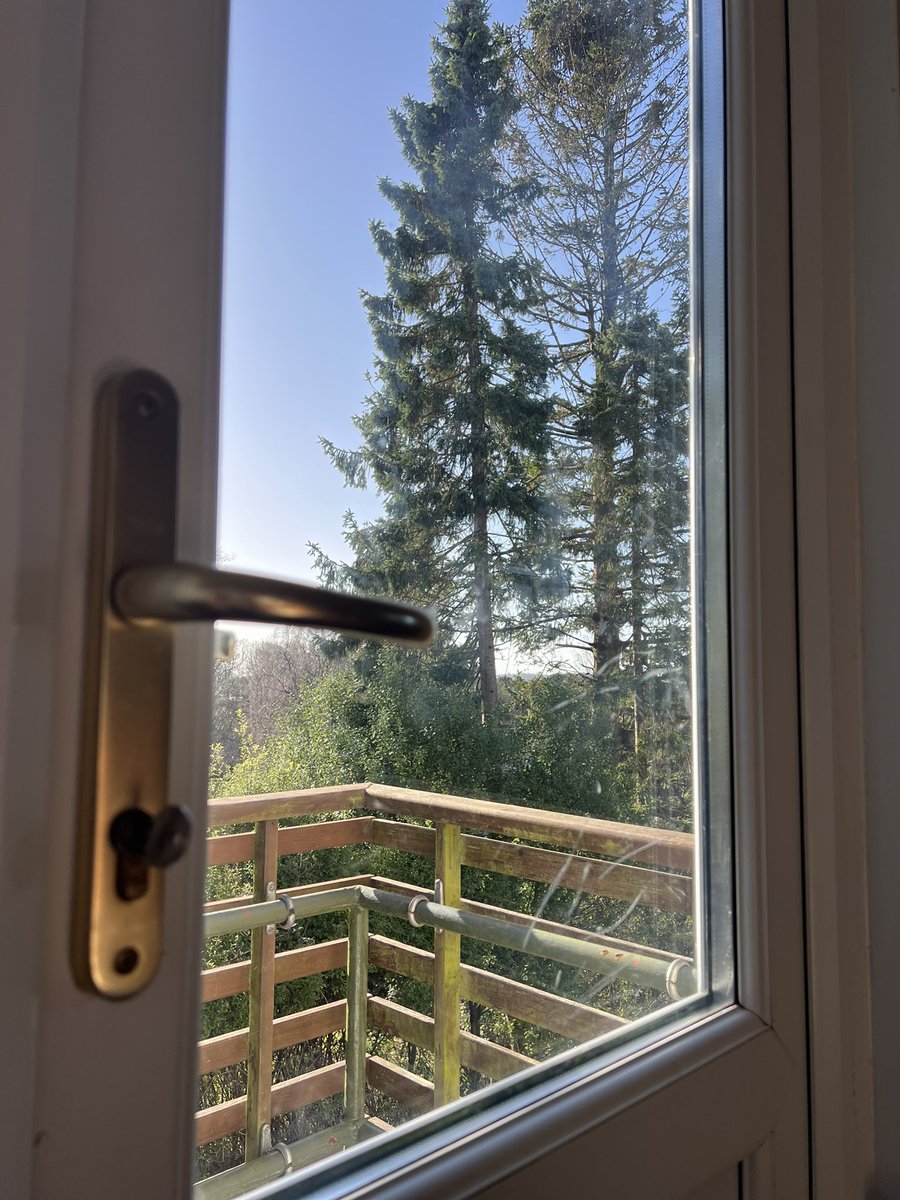 Marianne Avery tweet media