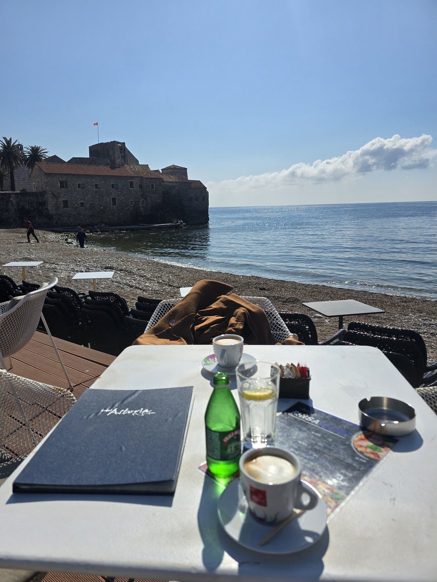 Stevan Bogosavljević tweet media