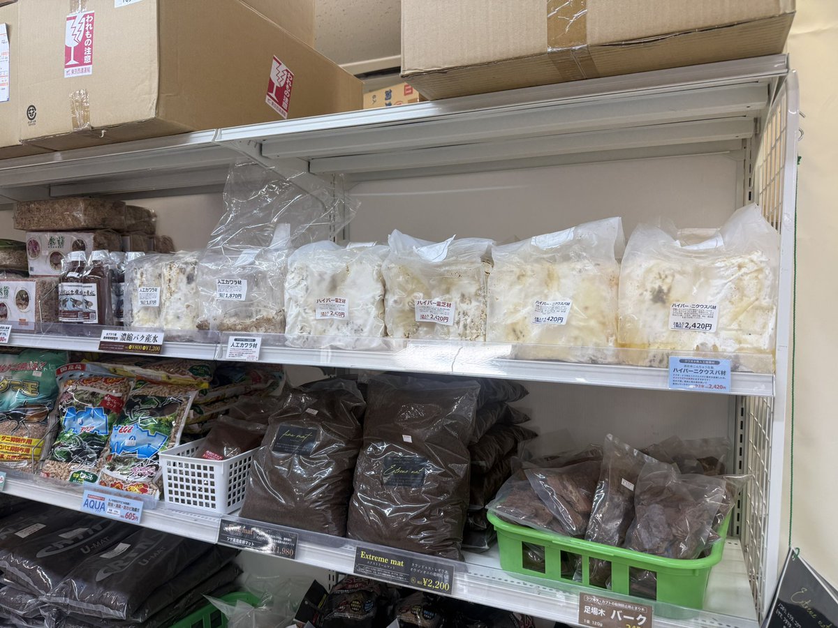 むし社 tweet media