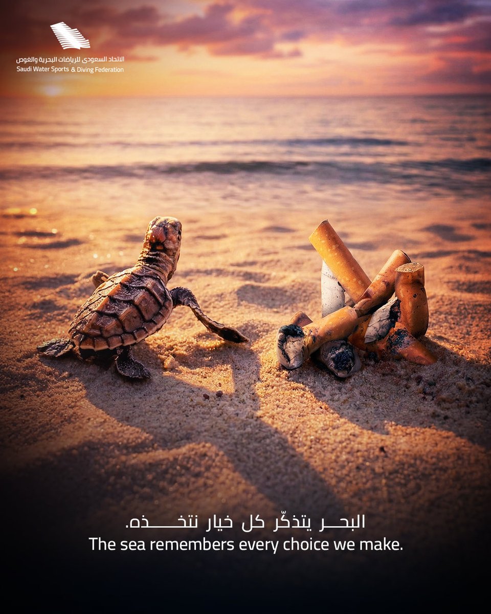 SWSDF | الاتحاد السعودي للرياضات البحرية و الغوص tweet media
