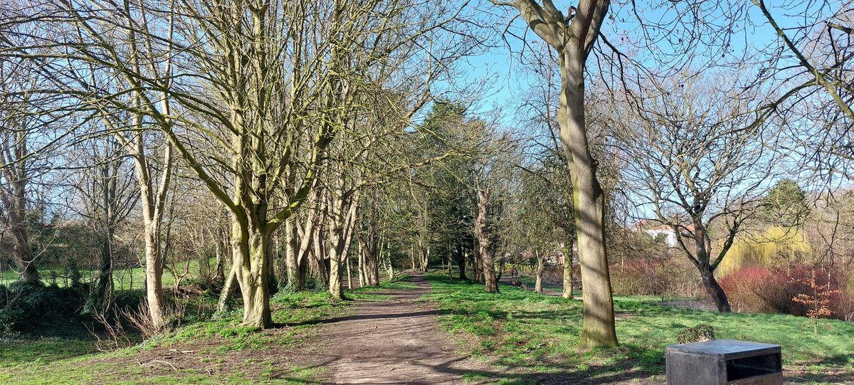 DR SIMON LEE tweet media