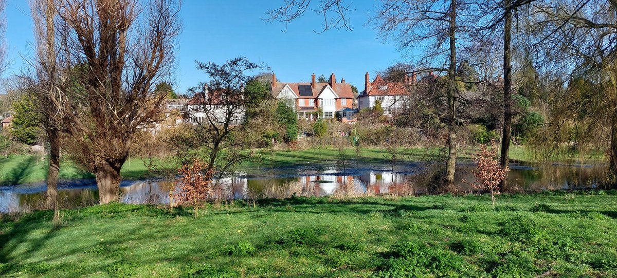 DR SIMON LEE tweet media