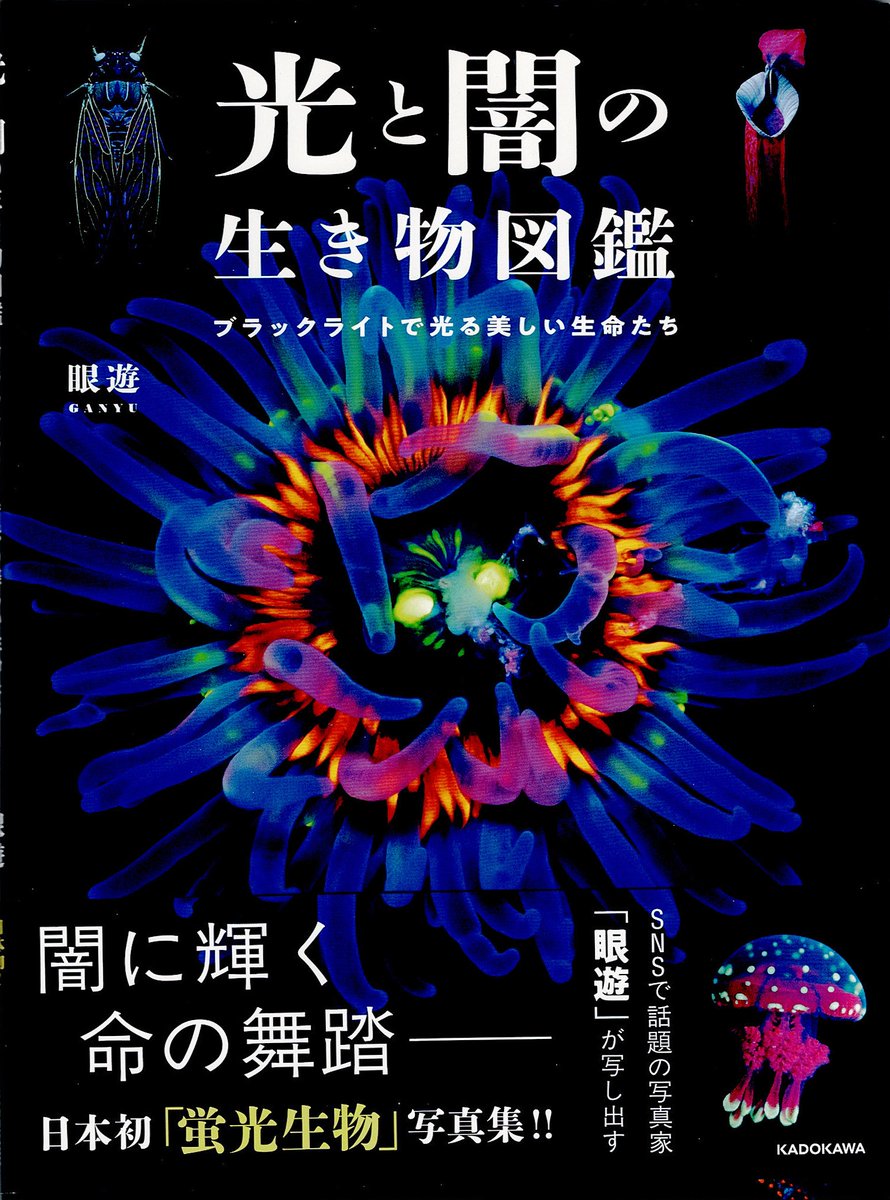 島野智之(動物分類学)S. SHIMANO, Prof. Hosei Univ. tweet media