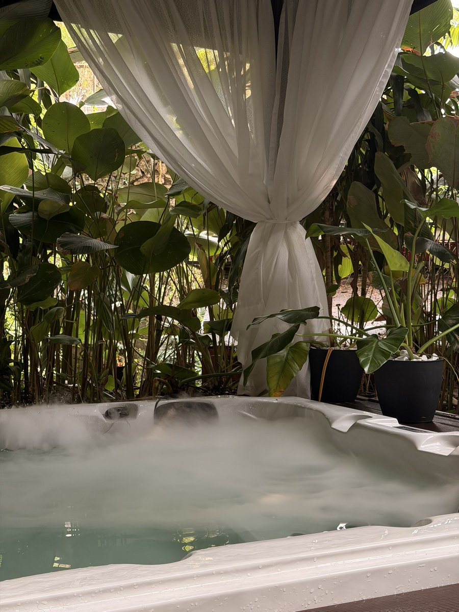 Danisaur tweet media