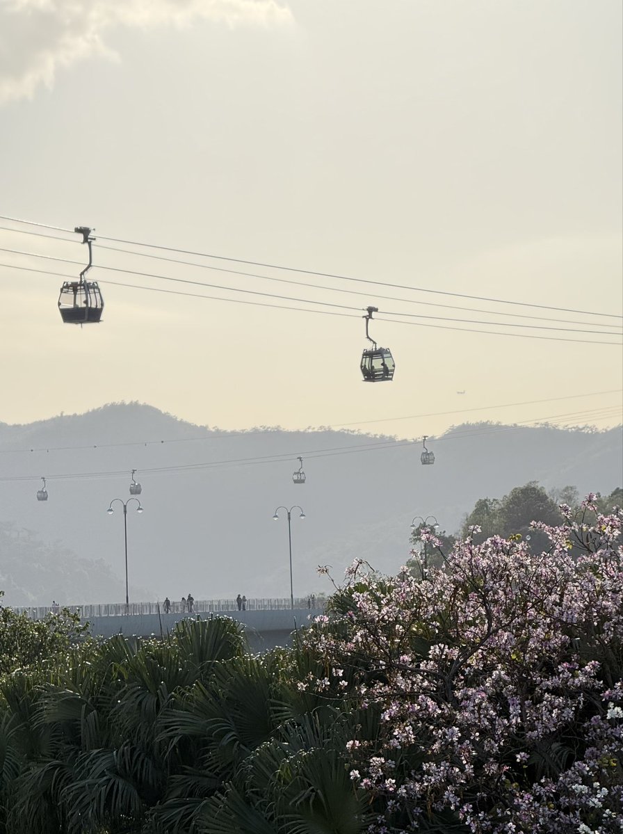 Andrew Higgins tweet media