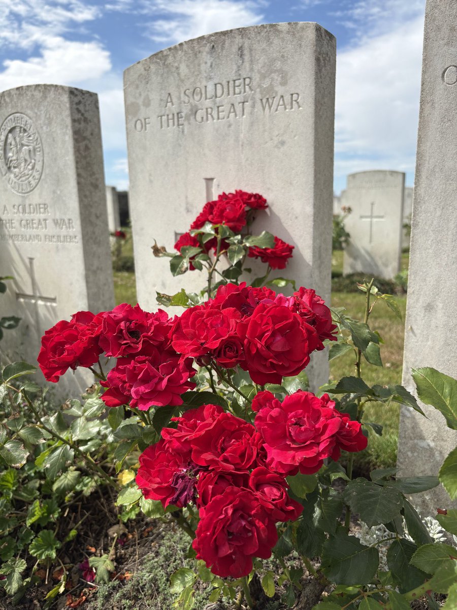 WFA Sussex Branch tweet media